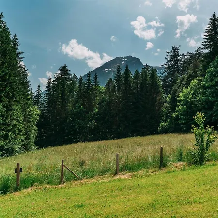 Tauernlodge 1a